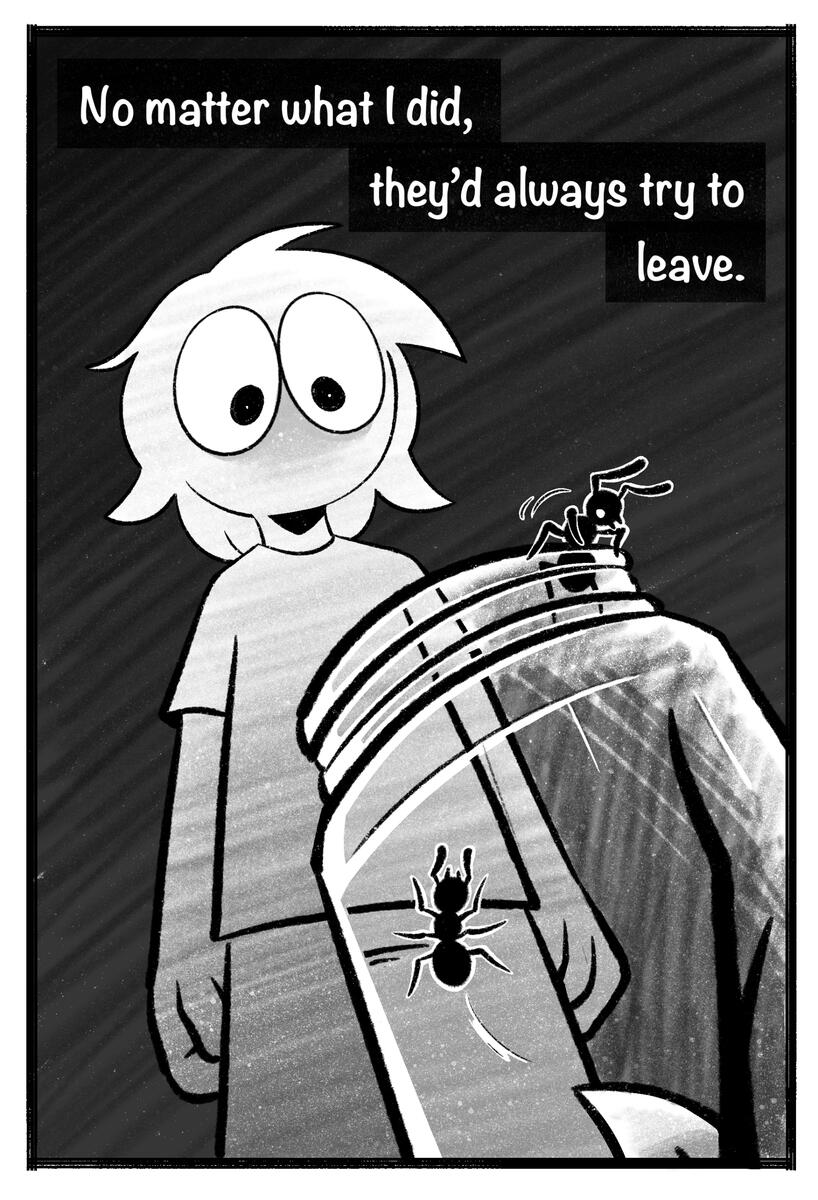 Pg. 5